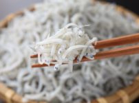 「しらす」はイワシの子ども？ちりめんじゃことの違いに関する雑学