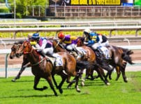 日本の競馬で一番優勝賞金が高いレースは？に関する雑学