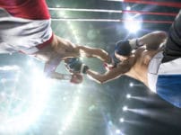 日本のプロボクシング選手で一番多く「世界王座防衛戦」に成功したのは？に関する雑学