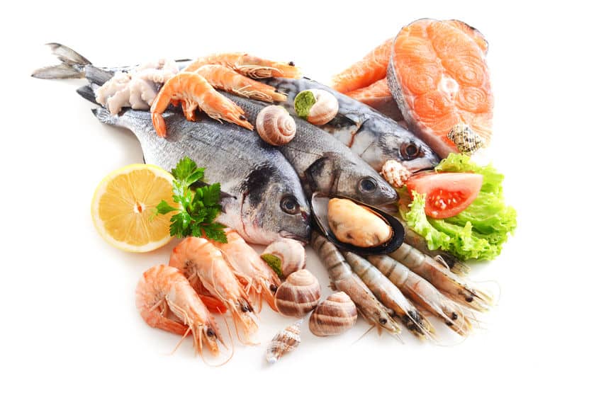 明確な違いが…!"魚介類"と"魚貝類"の意味はどう違うかという雑学まとめ