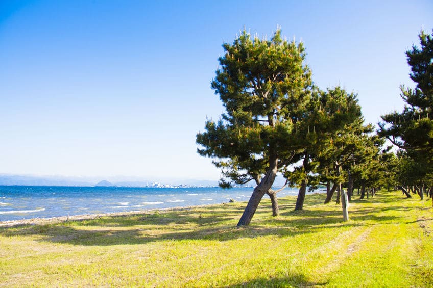 琵琶湖は世界で3番目に古い湖であるというトリビア