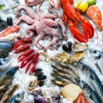 魚介類と魚貝類は意味が違うという雑学