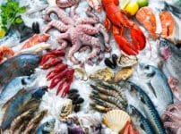 魚介類と魚貝類は意味が違うという雑学