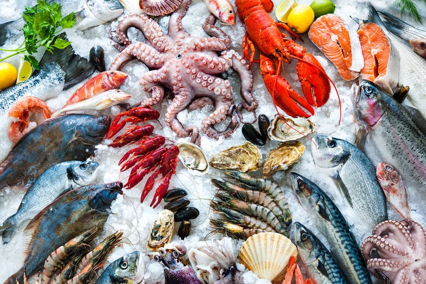 魚介類と魚貝類は意味が違うという雑学
