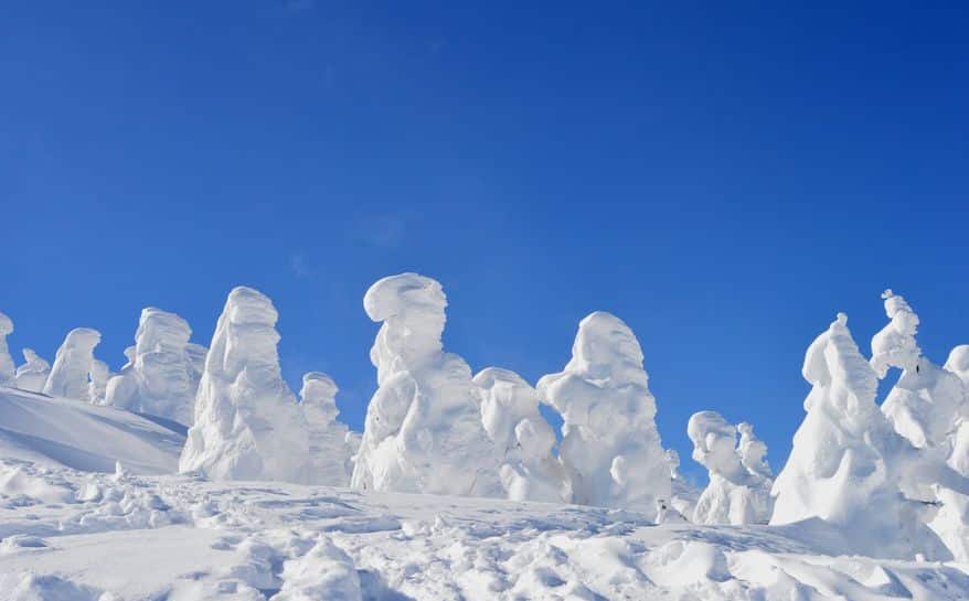 雪の怪物!?山形県では冬に"スノーモンスター"が現れる【動画あり】についての雑学まとめ