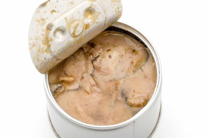 値段の差は何?おいしいサバ缶を見分けるポイントについてのトリビア