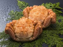 毛ガ二の毛はセンサーという雑学