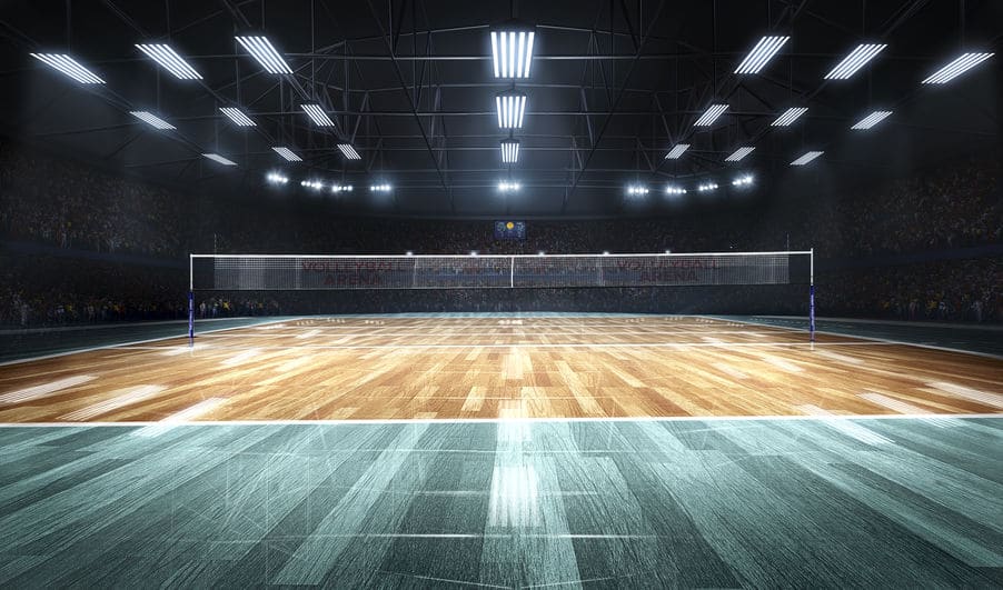 バレーボールの試合で大げさに喜ぶことの心理的効果についてのトリビア