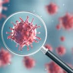 かかると頭が悪くなるウイルスがあるという雑学