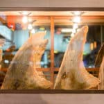 フカヒレをとったあとの鮫の憐れさに関する雑学
