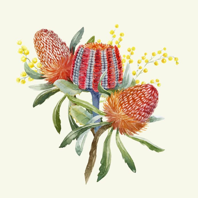 バンクシアの花言葉がとにかくカッコいい!というトリビア