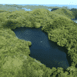 パラオにはクラゲばっかり生息している湖があるという雑学