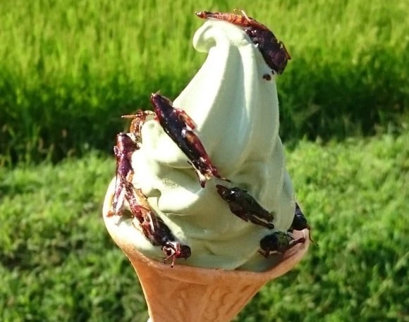 見た目ヤバい。長野県の"バッタのソフトクリーム"とは？【動画あり】についての雑学まとめ