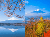 春分の日と秋分の日の意味は似ているようで正反対という雑学