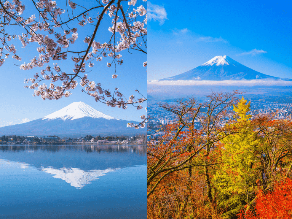 春分の日と秋分の日の意味は似ているようで正反対という雑学