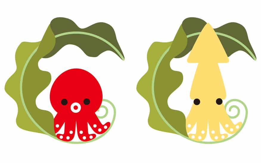 タコ・イカの雑学まとめ