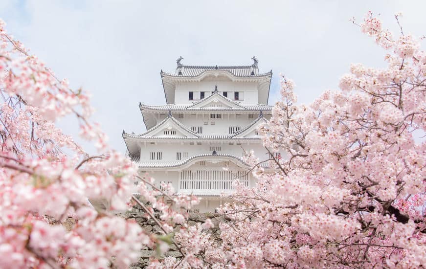 日本史の雑学まとめ
