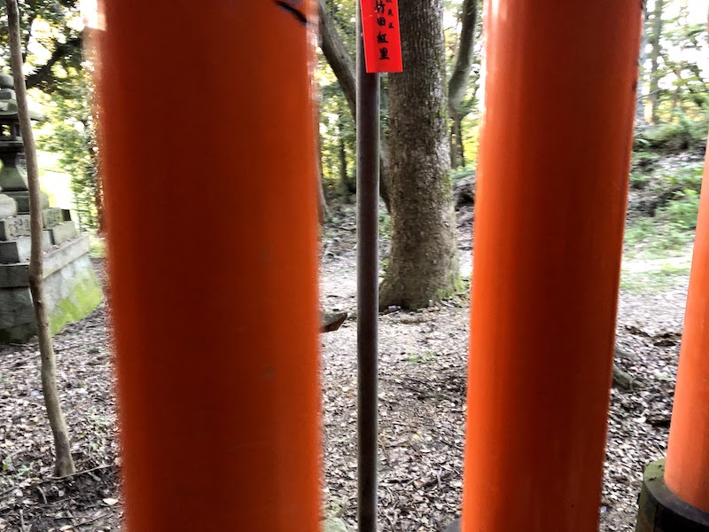 伏見稲荷大社の千本鳥居の外の様子