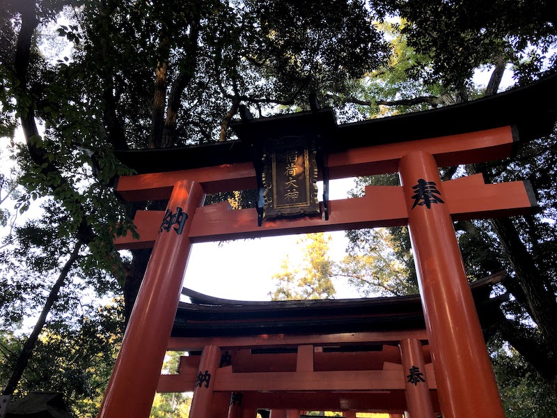 伏見稲荷大社の千本鳥居が終わらない