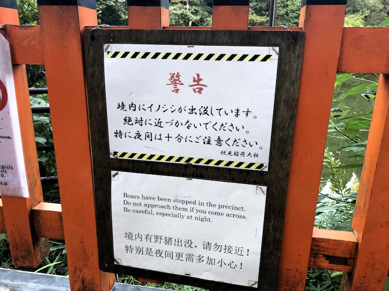 伏見稲荷大社の千本鳥居のイノシシ注意警告