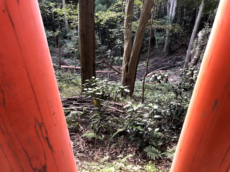 伏見稲荷大社の千本鳥居の外の様子。山。