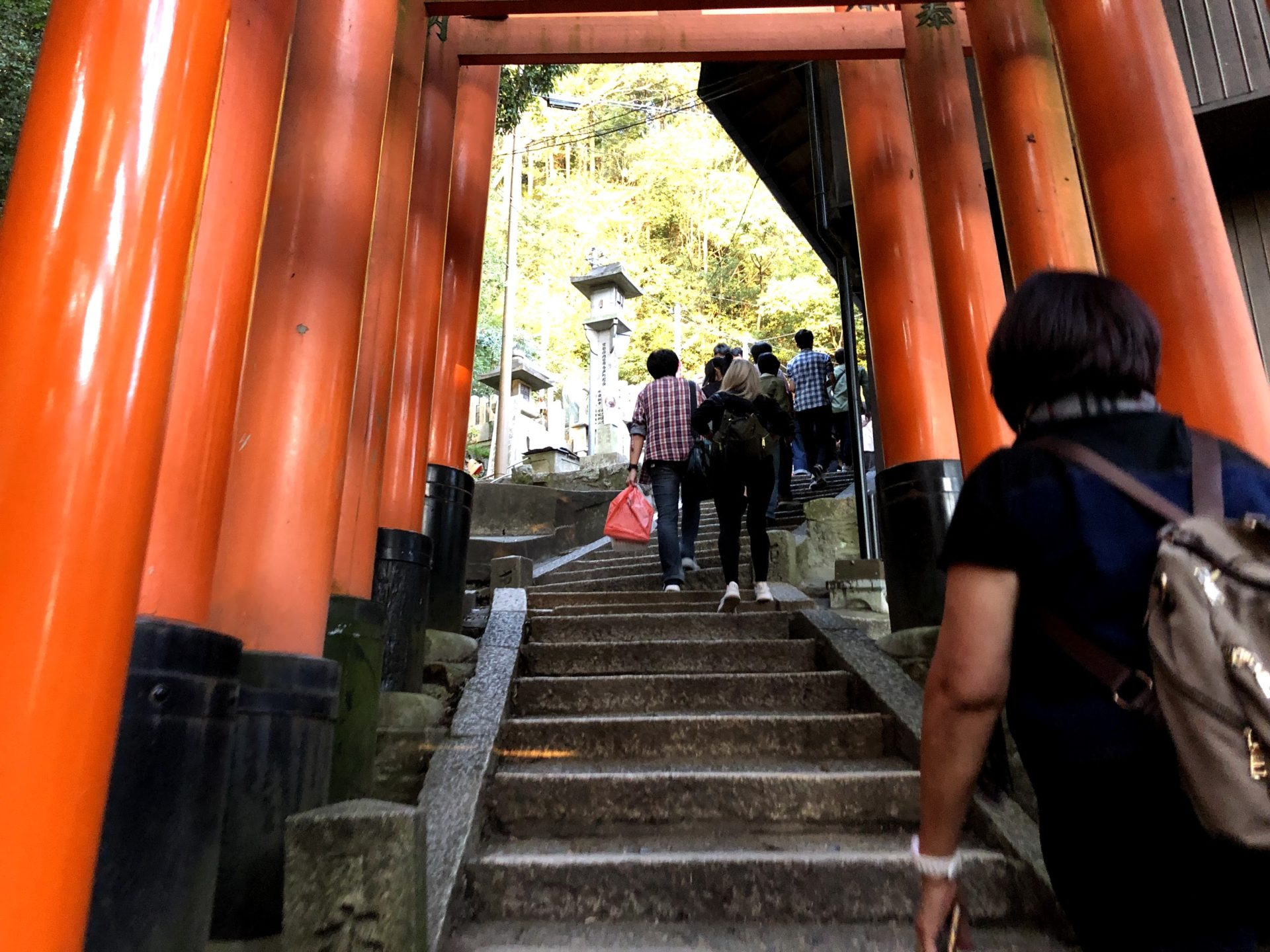 伏見稲荷大社の千本鳥居の開けた場所