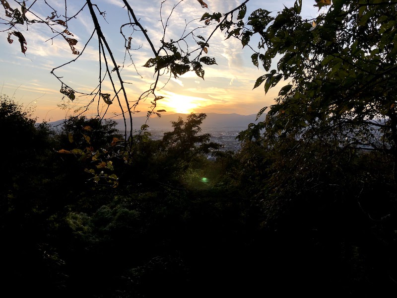 伏見稲荷大社の千本鳥居から見る京都の夕日