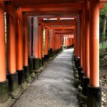 男1人の京都日帰り旅行②伏見稲荷大社の山頂まで登ってみた