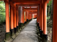 男1人の京都日帰り旅行②伏見稲荷大社の山頂まで登ってみた
