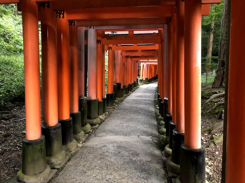 男1人の京都日帰り旅行②伏見稲荷大社の山頂まで登ってみた