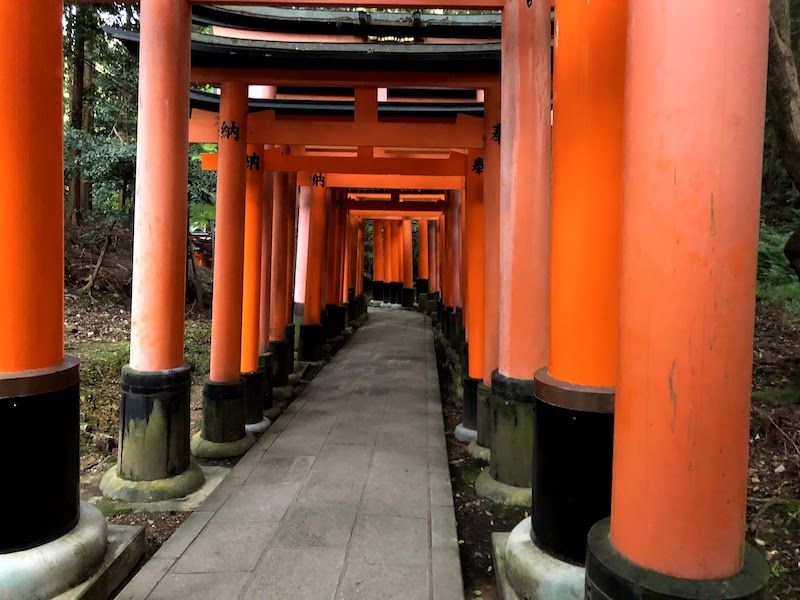 伏見稲荷大社の千本鳥居の空気が変わった