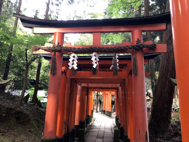伏見稲荷大社の千本鳥居から人がいなくなった