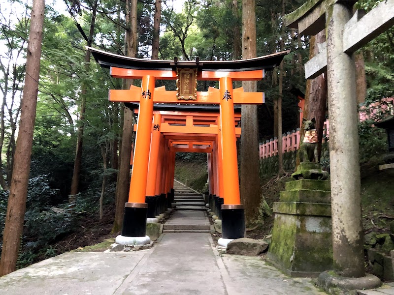 伏見稲荷大社の千本鳥居の山頂へ