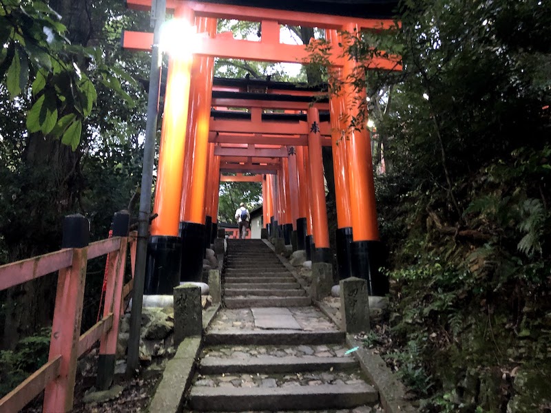 伏見稲荷大社の千本鳥居の素早い外国人
