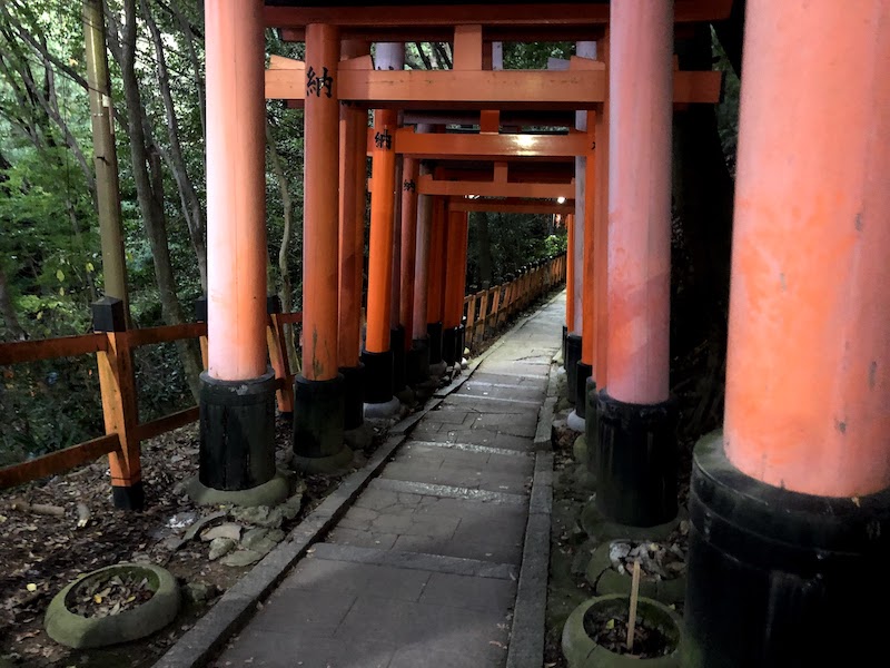 伏見稲荷大社の千本鳥居の下り坂