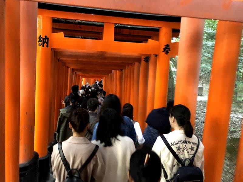 ラーメン屋の行列並の伏見稲荷大社の千本鳥居