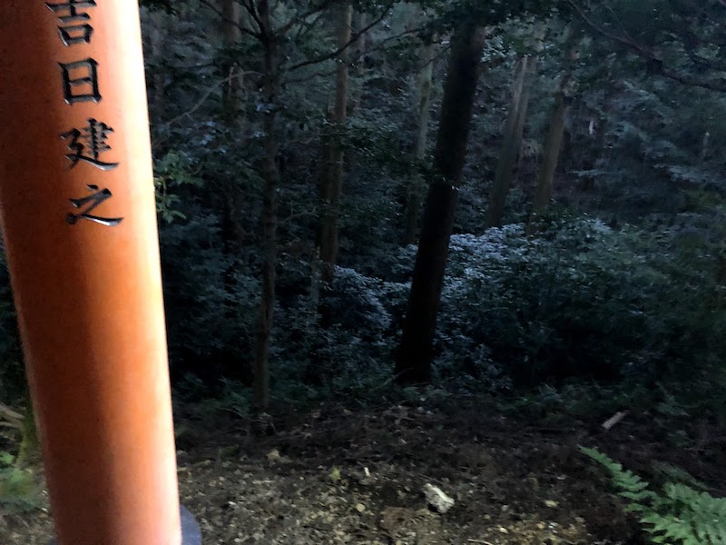 伏見稲荷大社の千本鳥居の外。気をつける。