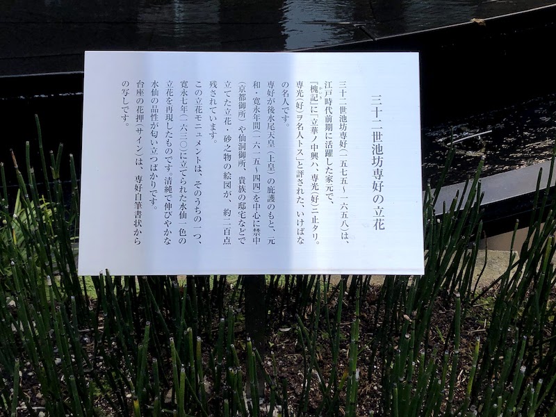六角堂の「三十二世池坊専好」の立花の解説