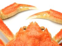 ズワイガニのオスの求愛方法は「メスを振り回す」という雑学