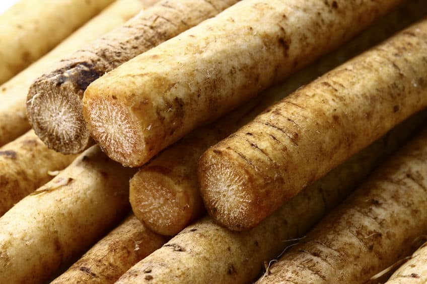 海外ではゴボウは食材で使用されることが少ないという雑学