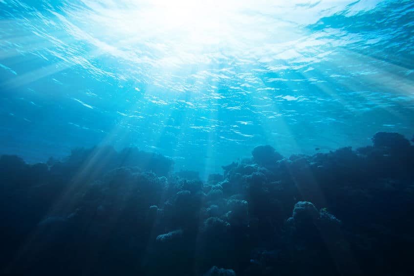 海水には大量の金が溶け込んでいる?!というトリビア