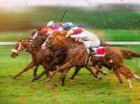 競馬・馬術の雑学まとめ
