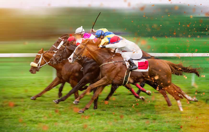 競馬・馬術の雑学まとめ