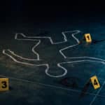 最も人類を殺している生き物は蚊という雑学