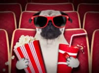 映画の雑学まとめ