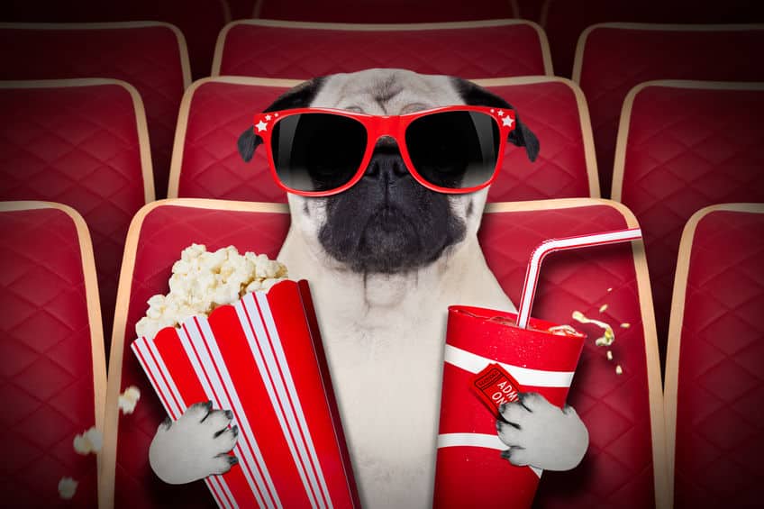映画の雑学まとめ