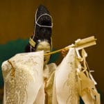 日本一古い能舞台は西本願寺の「北能舞台」という雑学