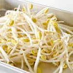 実はいろいろな種類がある！もやしって何の豆の芽？