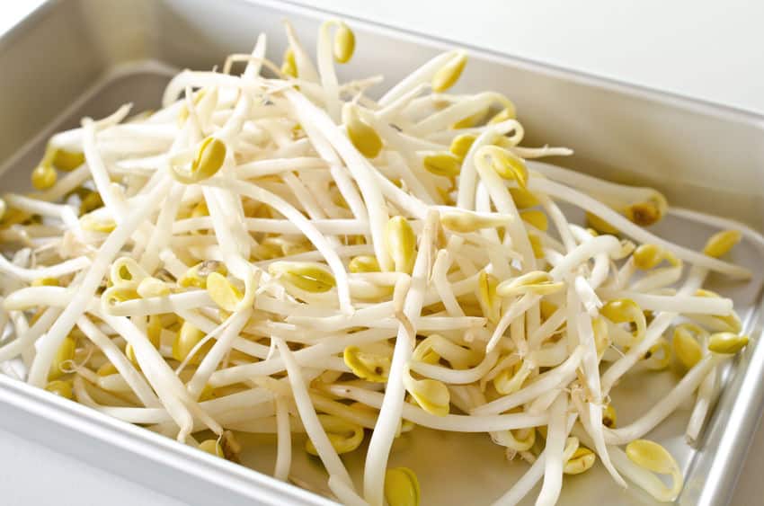 実はいろいろな種類がある!もやしって何の豆の芽?