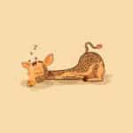 キリンの睡眠時間は恐ろしく短いという雑学